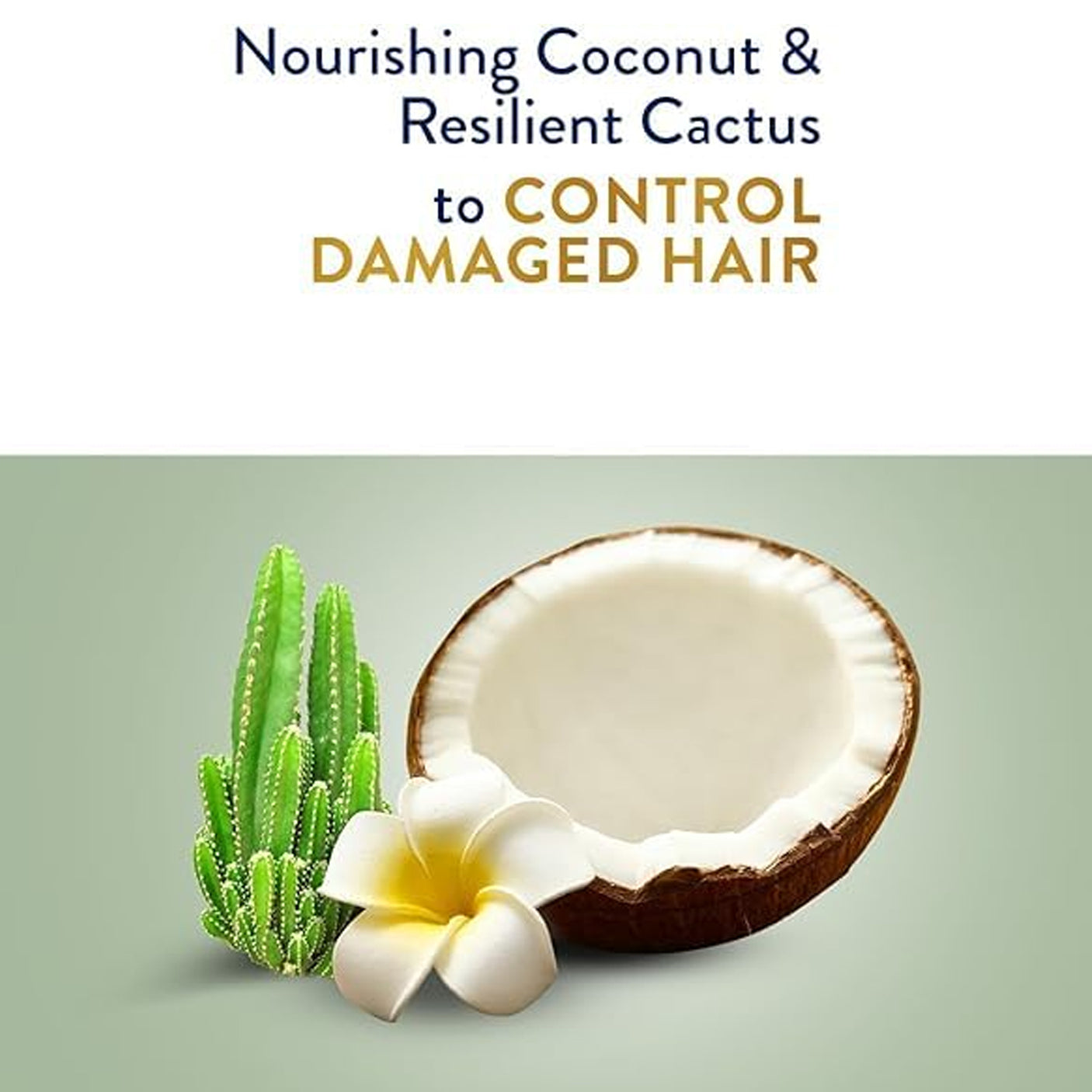 Parachute Gold Hair Cream with Coconut & Cactus - 140ml (1+1) Offer
