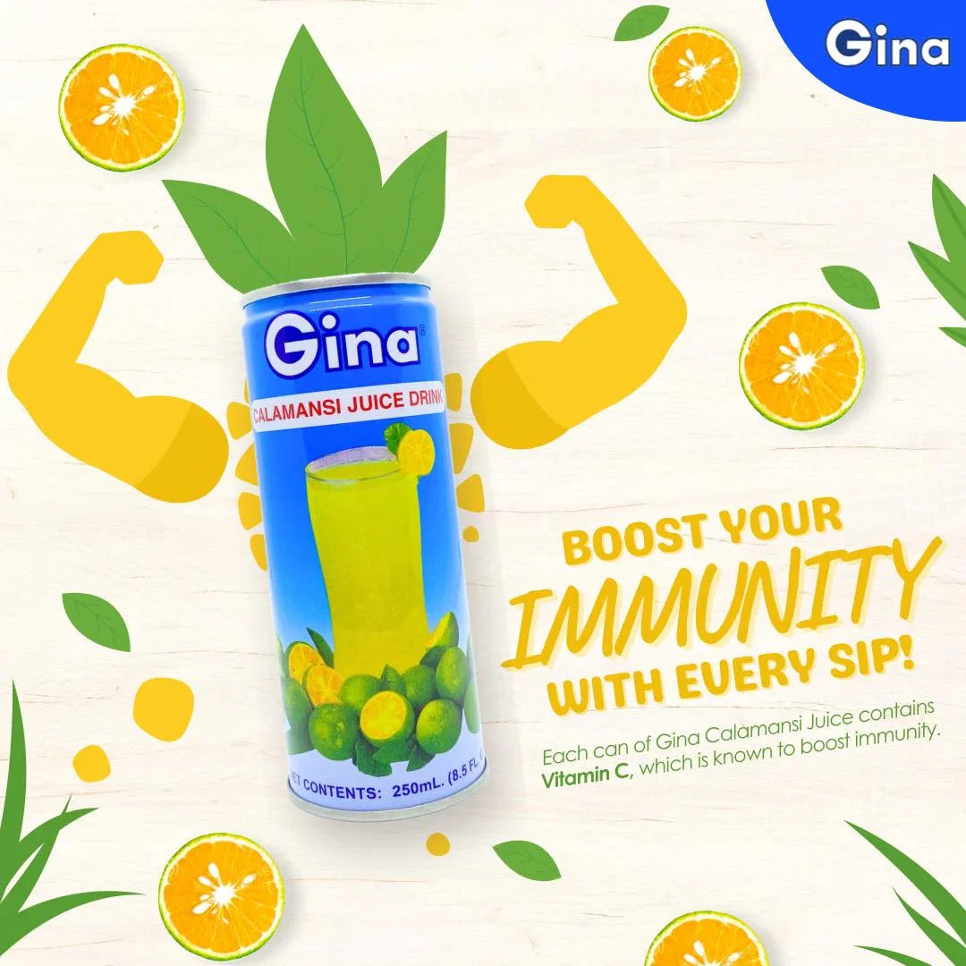 Gina Calamansi Juice Drink - 250ml