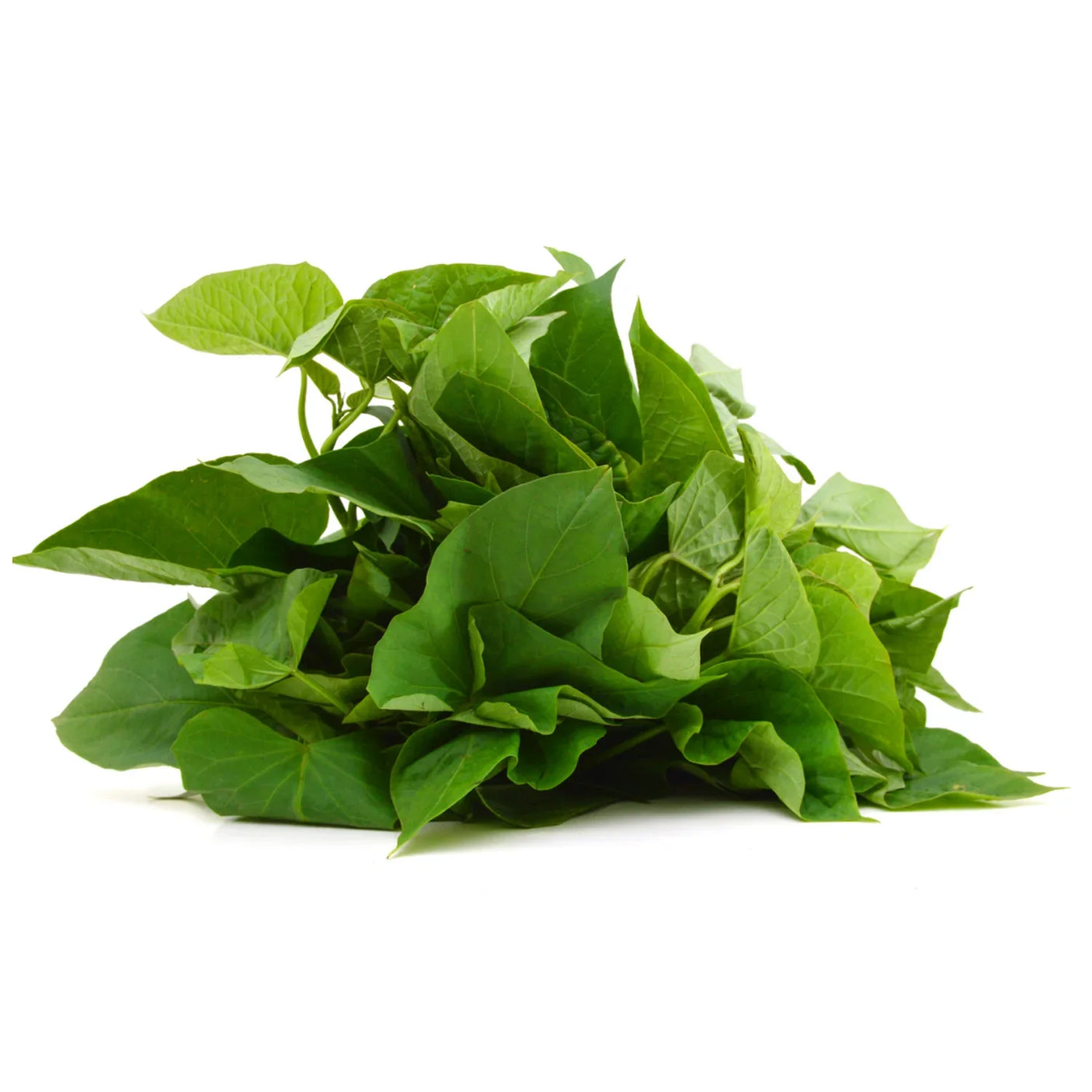 Sweet Potato Leaves (Talbos Ng Kamote) - Bunch