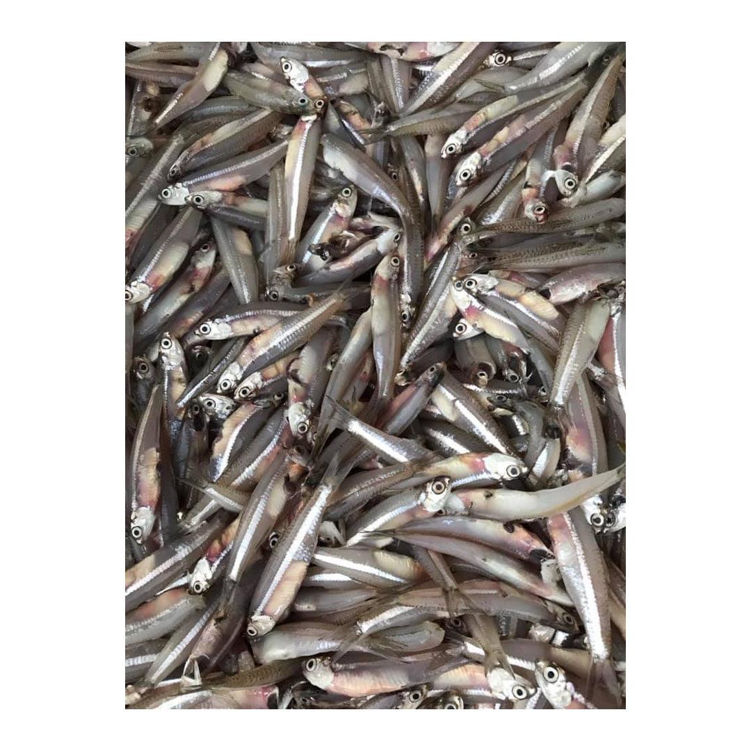 Dilis Fish 200g - Frozen