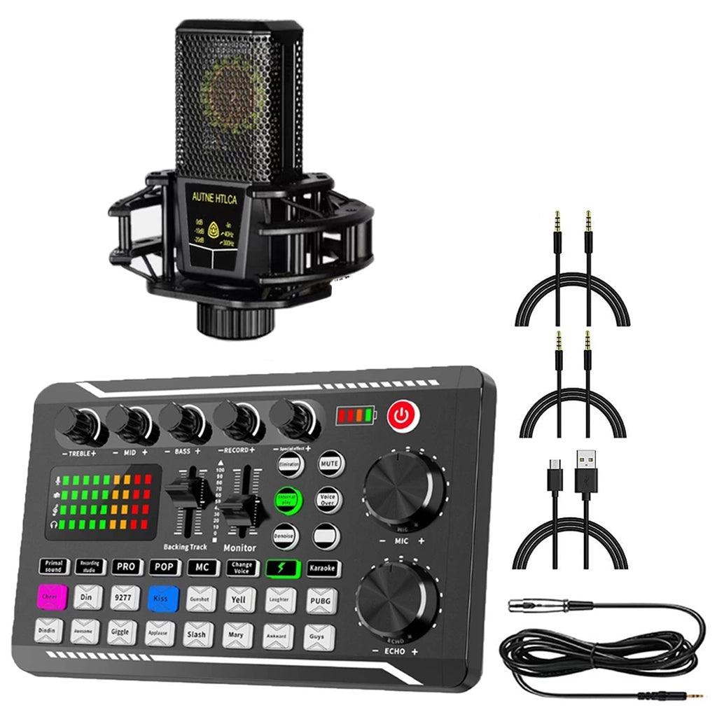 Live Broadcast Professional Recording Stand Microphone
