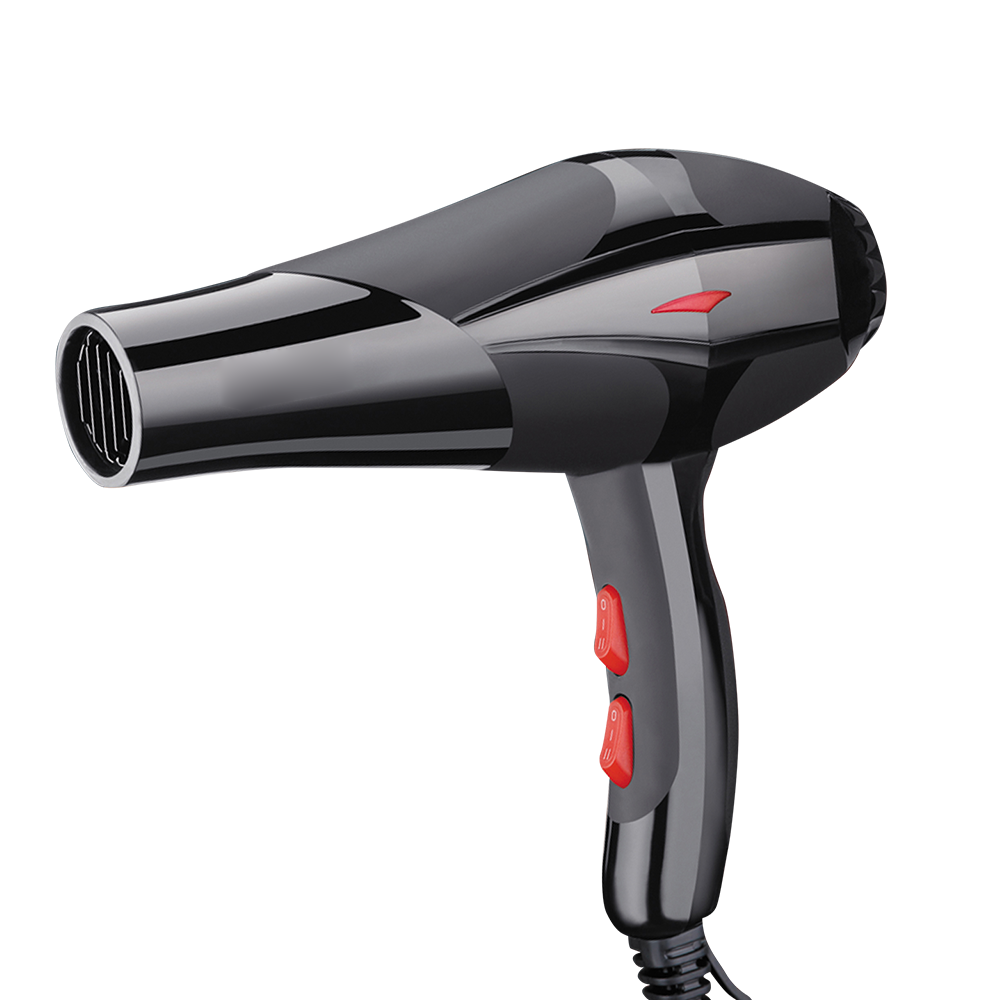 Dynamic Wind Selects Professional Hair Dryer