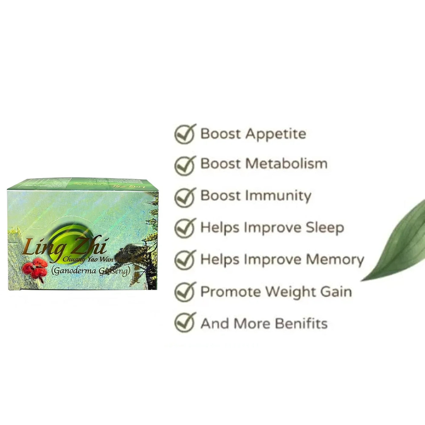 Ling Zhi Chuang Yao Wan Plus (Ganoderma Ginseng)