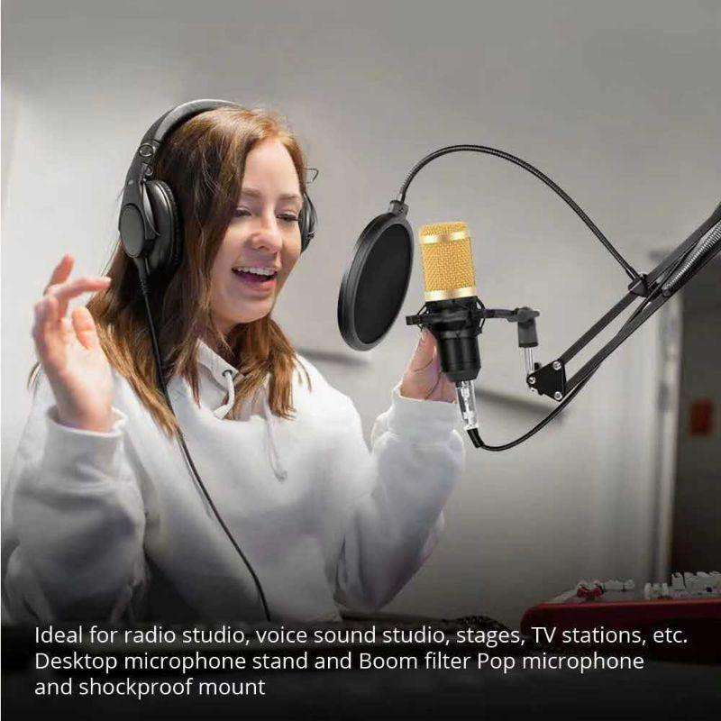 Condenser Microphone BM800 + F66 Version Sound Card Complete Set - Pinoyhyper