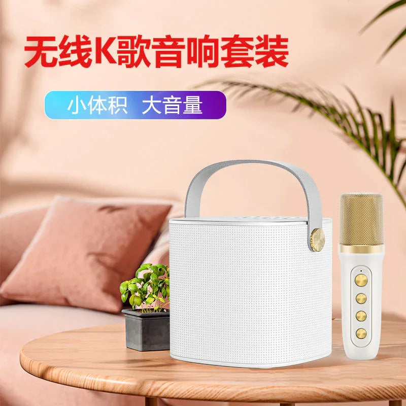 Smartbarry Portable Karaoke Speaker With Microphone YS-101