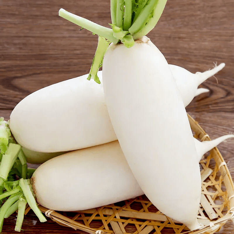 Daikon Radish (Labanos) 500g - 600g
