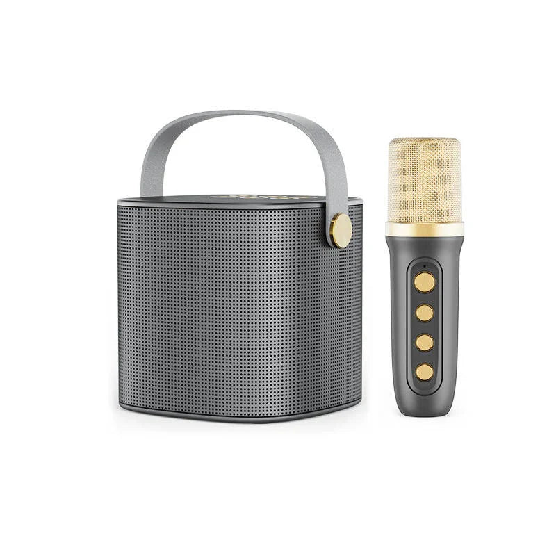 Smartbarry Portable Karaoke Speaker With Microphone YS-101