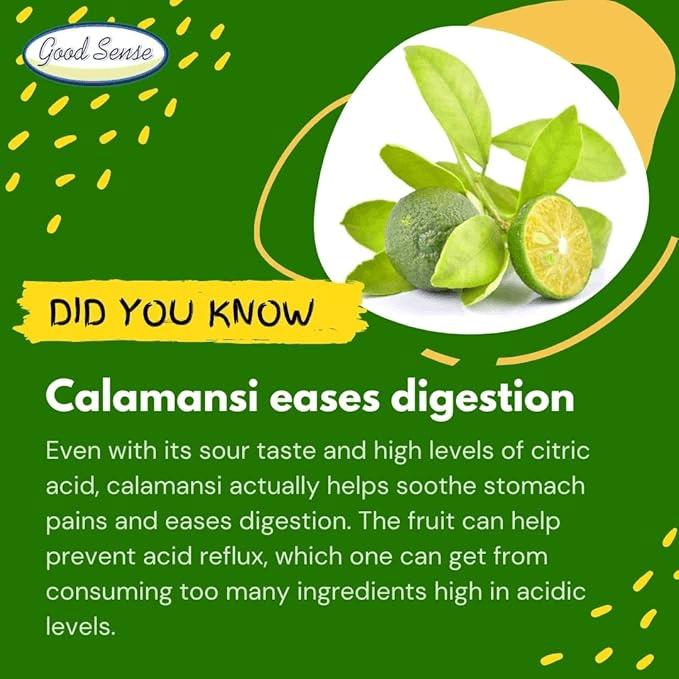 Good Sense Real Squeezed Calamansi Extract - 150ml