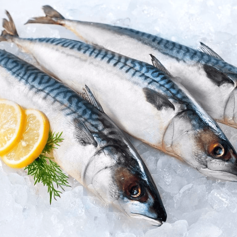 Mackerel Fish 900g To 1KG - Frozen × 2 Pcs (Offer)