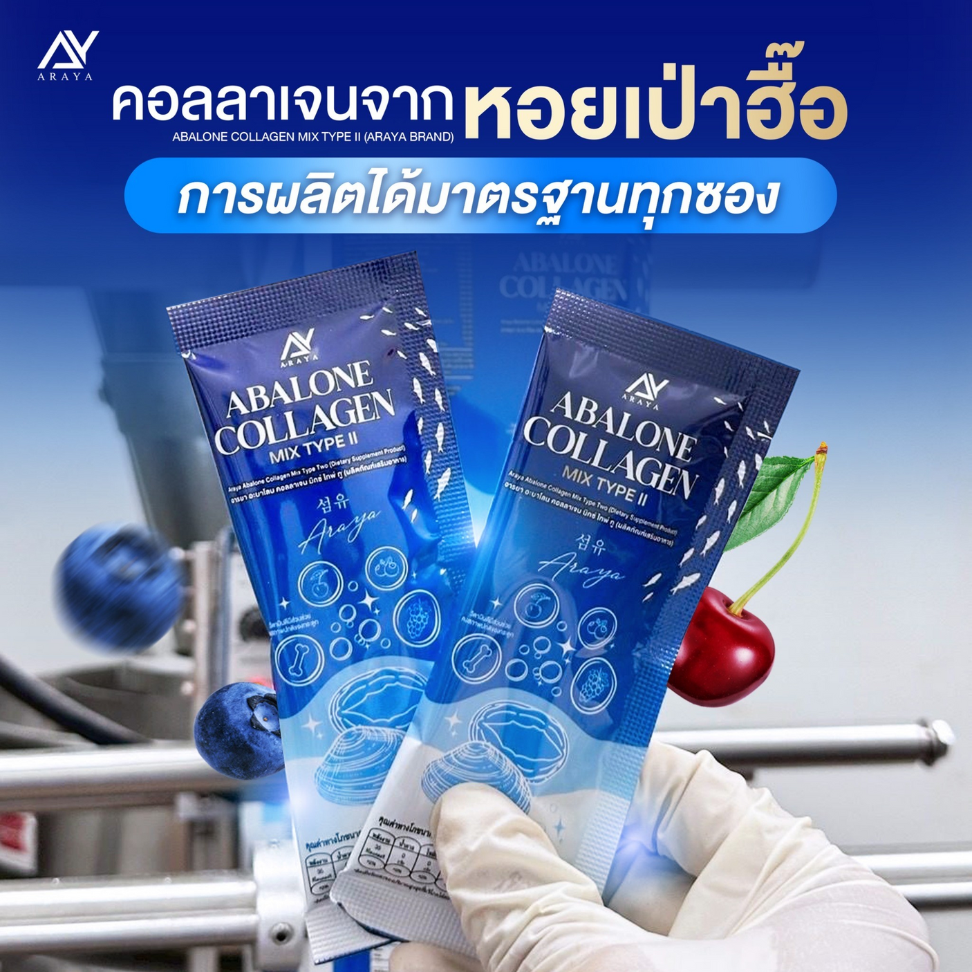 Araya Abalone Collagen Mix Type II - 30s × 10g (300g)