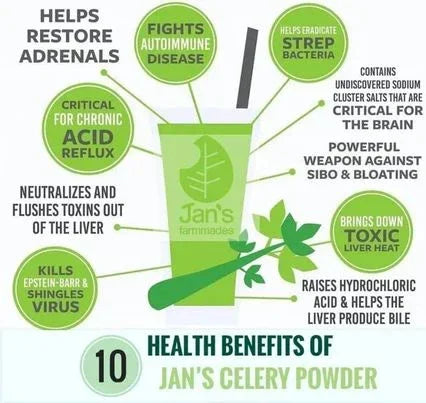 Jan's Freeze-Dried Celery Powder - 100g