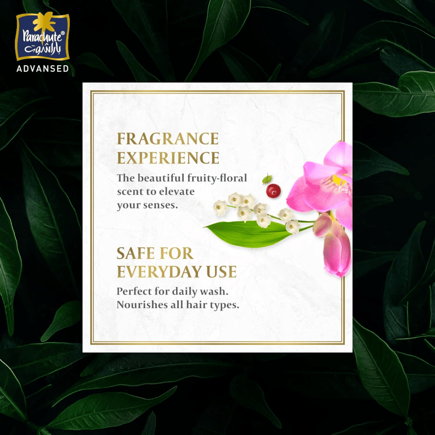 Parachute Advansed Coconut & Aloe Vera Smooth Silky Shampoo - 340ml