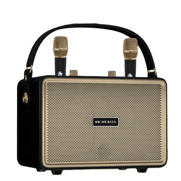 Booms Bass Stereo Outdoor Karaoke With 2 Microphones - M4202+