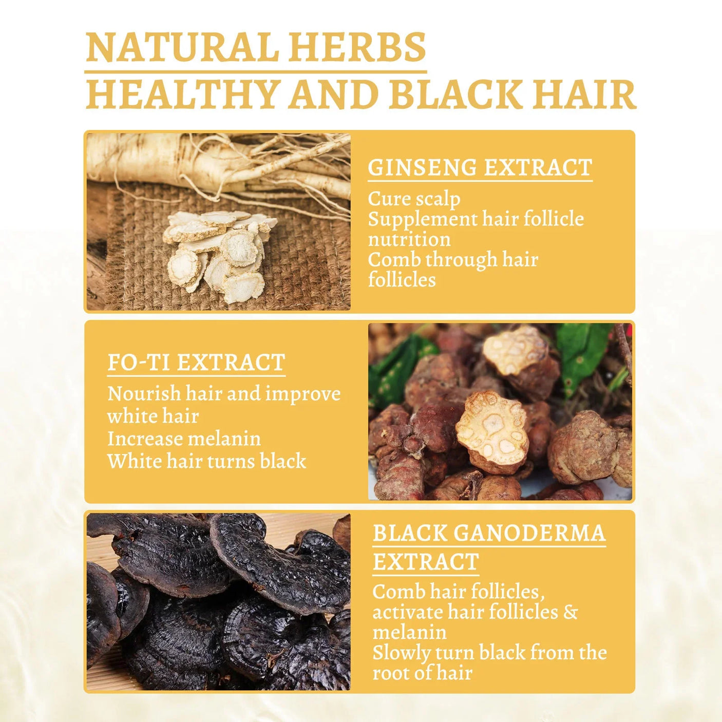 South Moon Ganoderma Nutrient Anti-Greying Hair Serum - 30ml