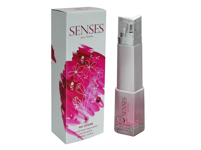 Popular Women Perfumes 100ml × 6 Pcs (PR-60)