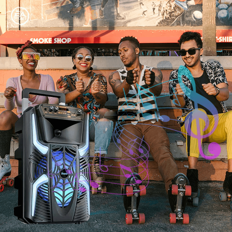 Saeapu Big Sound Portable Wireless Speaker 8" TTD-8258