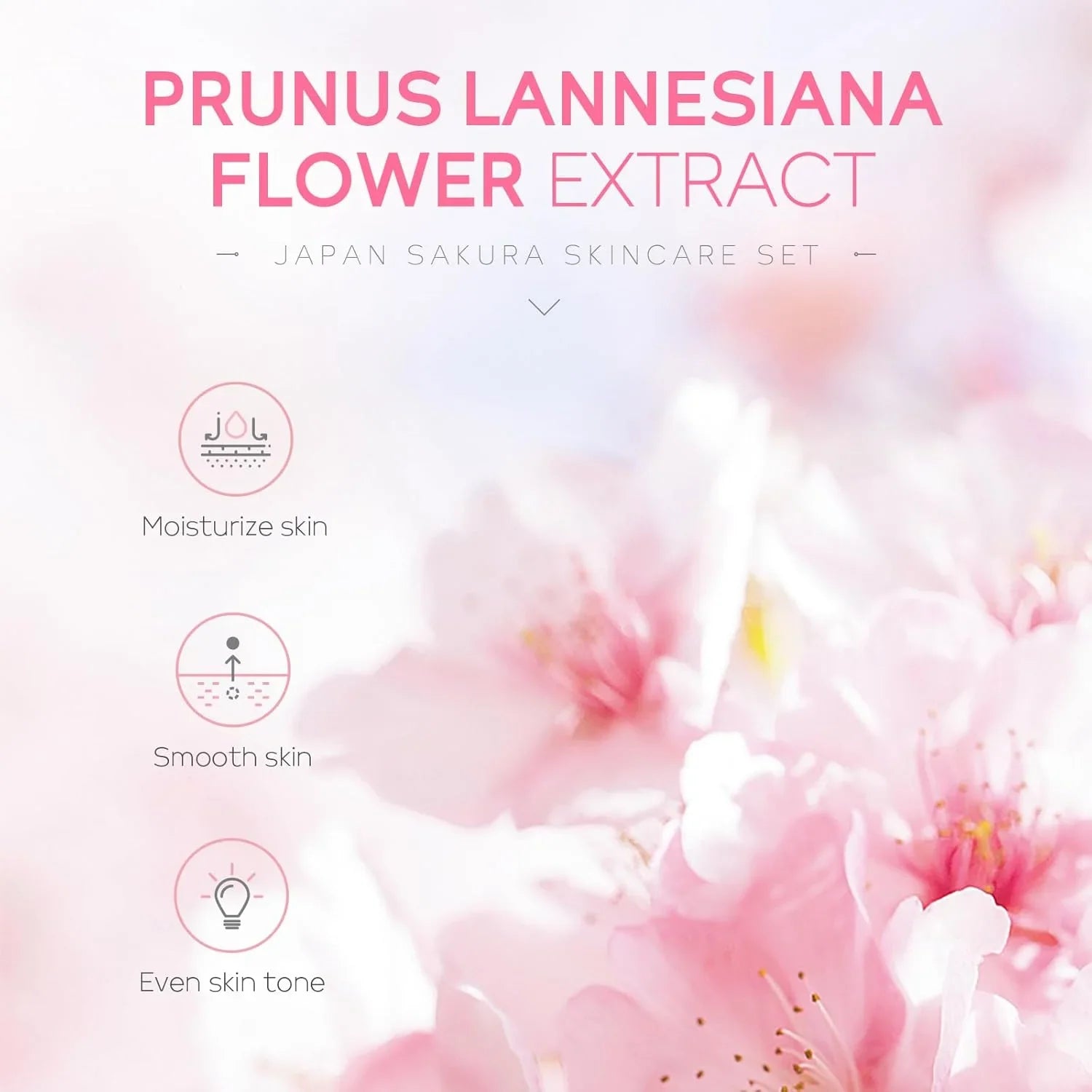 Laikou Japan Sakura Skin Care 5Pcs Set