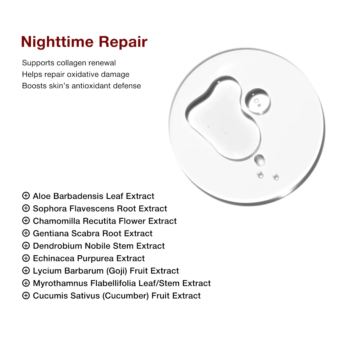 Teashell 5% Niacinamide Brightening Serum - 30ml
