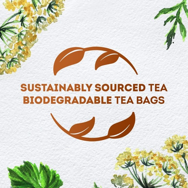 Lipton Anise Herbal Infusion Tea - 20 Bags × 1.6g (32g)