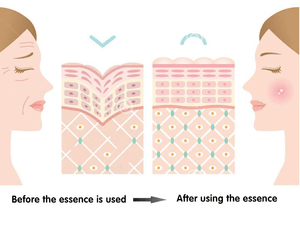 Dr. Rashel 24K Gold Radiance & Anti-Aging Essence Gel Cream - 50g - Pinoyhyper