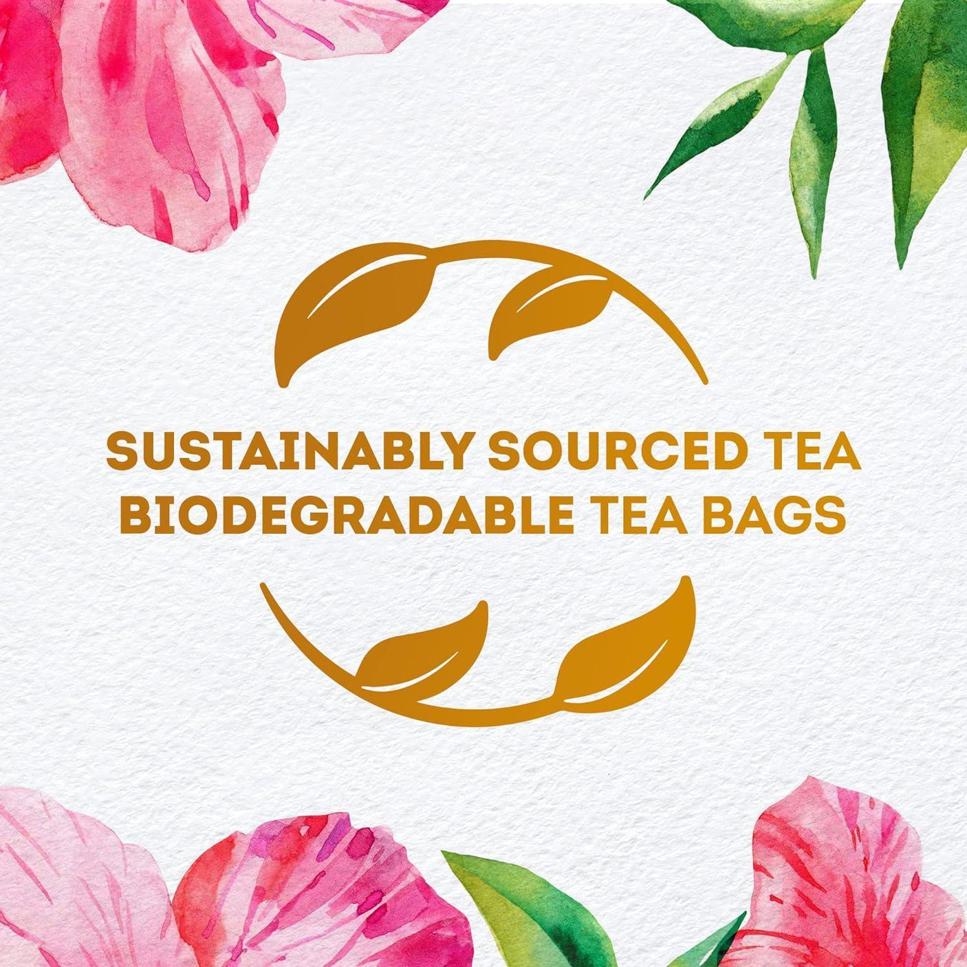 Lipton Herbal Infusion Tea Hibiscus, 20s - Pinoyhyper