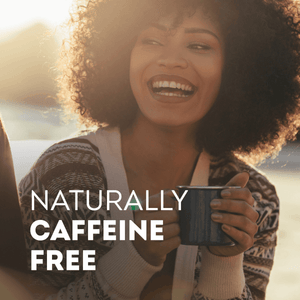 Lipton Mint Tea Herbal Infusion - 20 Tea Bags - Pinoyhyper