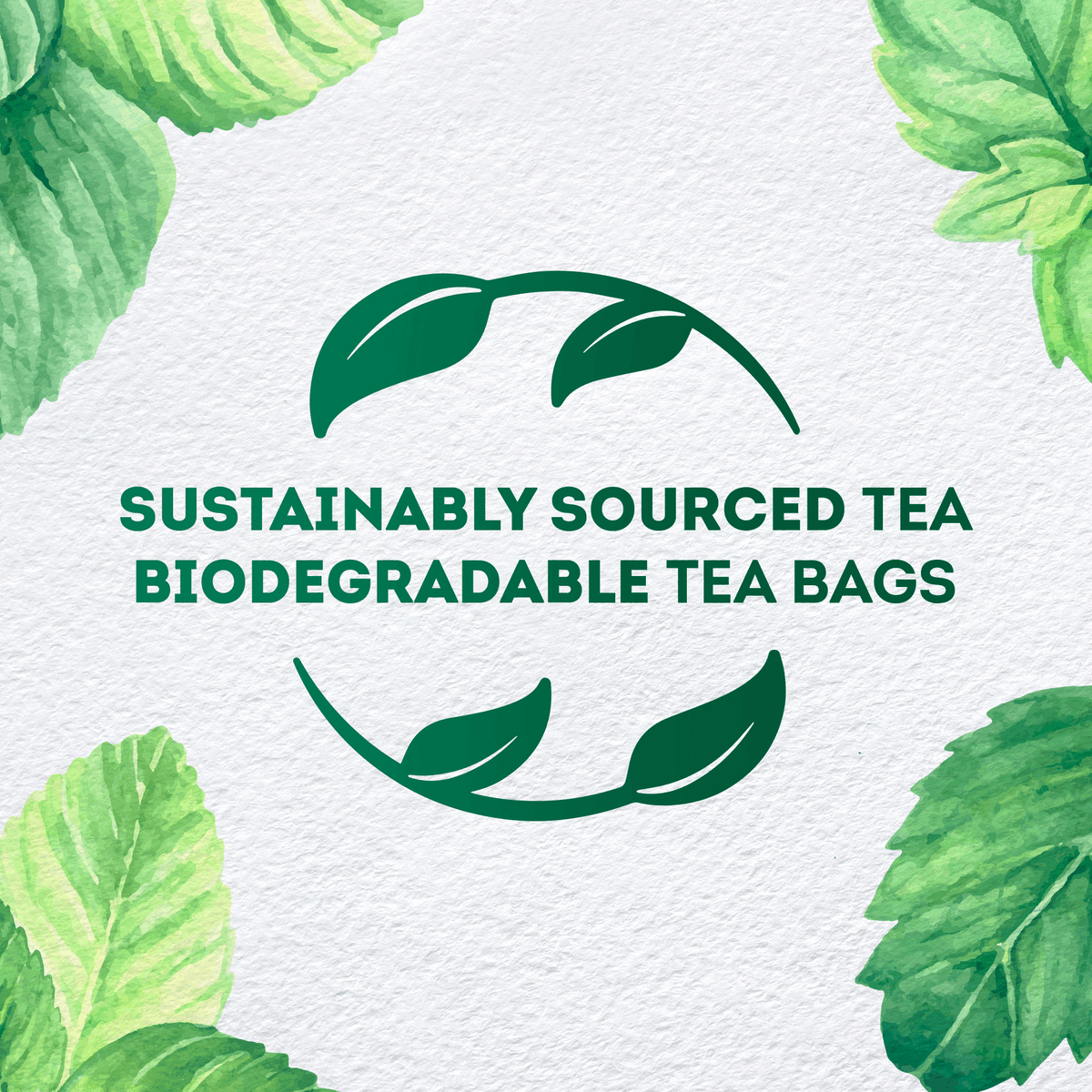 Lipton Mint Tea Herbal Infusion - 20 Tea Bags - Pinoyhyper
