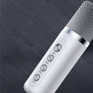 Long Duration Portable Speaker Karaoke YS-203 - Pinoyhyper