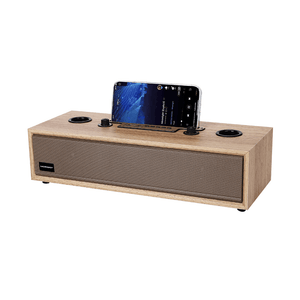 Microdigit Double Mic Karaoke Portable BT Speaker With Microphone - MD674PS - Pinoyhyper