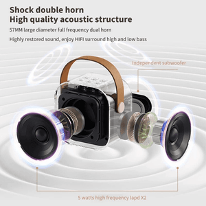 Multifunction Portable Karaoke Speaker (Double Mic) - K12 - Pinoyhyper
