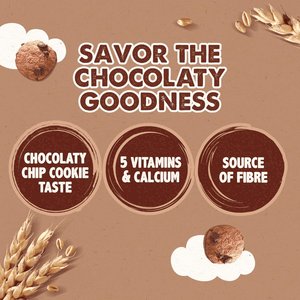 Nestle Cookie Crisp Chocolate Chip Breakfast Cereal - 375g - Pinoyhyper