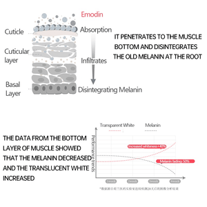 Pei Mei Pink Essence For Lips,Areolas & Private Parts - 30g - Pinoyhyper