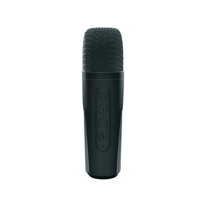 Portable Karaoke Bluetooth Speaker With Microphone - Willen RGB - Pinoyhyper