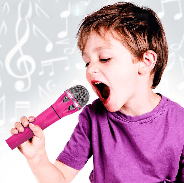 Professional Wired Microphone Karaoke 06-09 - Pinoyhyper