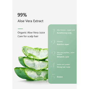 Tree City Aloe Vera Hair Conditioner - 500ml - Pinoyhyper