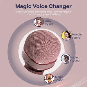 Wireless Bluetooth Karaoke Microphone LoudSpeaker - C500 - Pinoyhyper