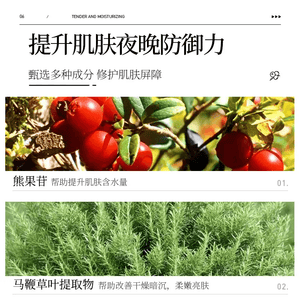 BIOAQUA Blueberry Arbutin Moisturizing Mask 4ml x 20pcs - Pinoyhyper