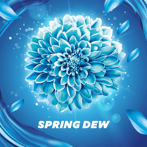 Comfort Fabric Softener Spring Dew 4Litre - Pinoyhyper