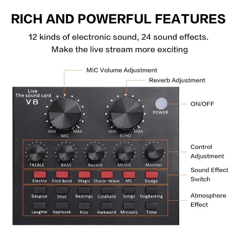Condenser Microphone Professional stage Mic Set - Pinoyhyper