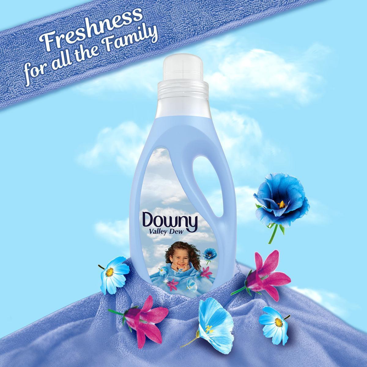Downy Regular Fabric Softener Valley Dew 3Litre - Pinoyhyper