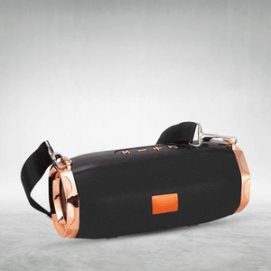 Portable Wireless Speaker ET- 805 - Pinoyhyper