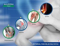 Salonpas Patch 20 Patches 6.5cmX 4.2cm - Pinoyhyper