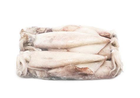 Squids Whole Round Block - Frozen - 1Kg - Pinoyhyper