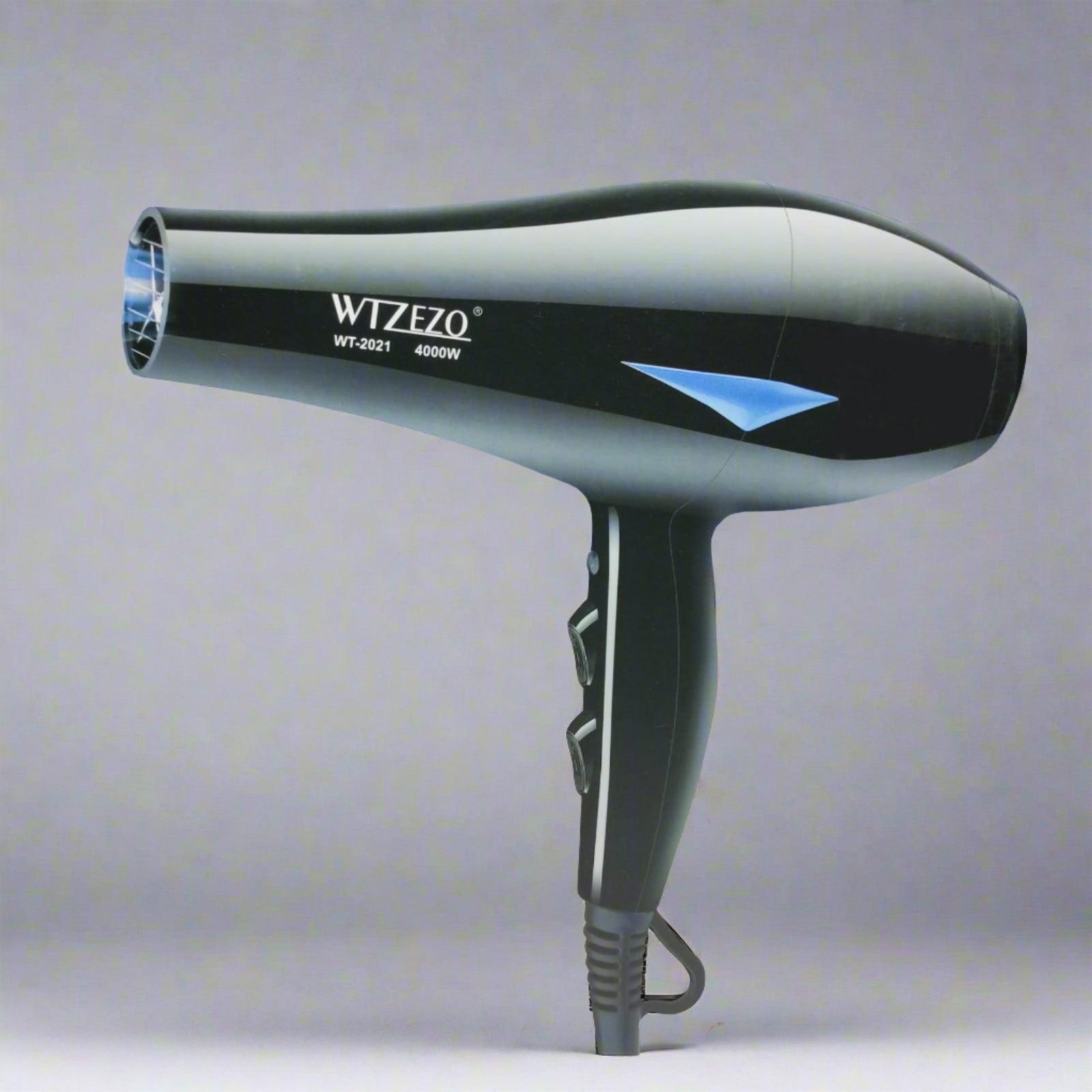 WTZEZO Smart Air Design Cool & Warm Hair Dryer WT-2021