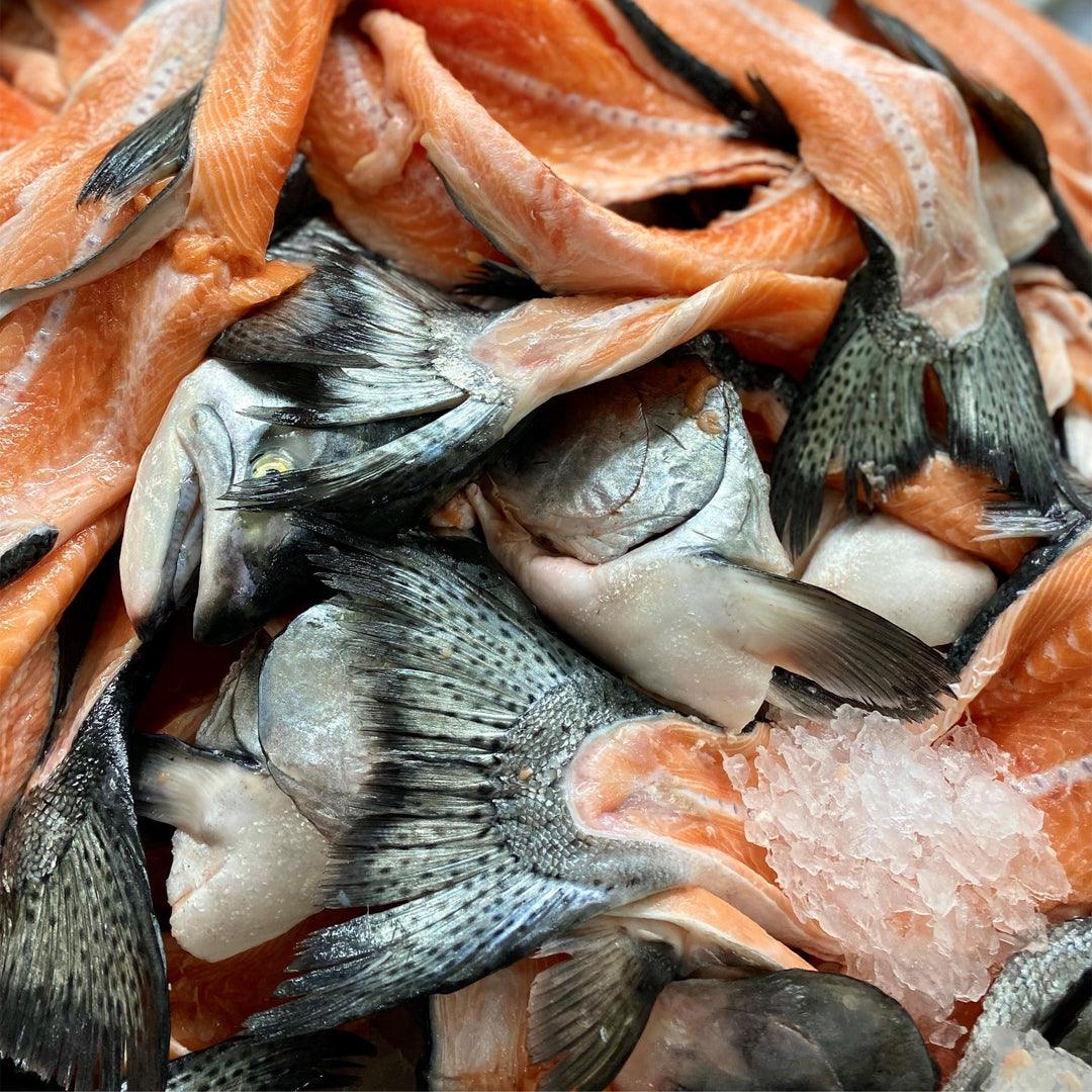 Salmon Scraps - 500g (Frozen)