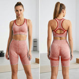 Women's Seamless High Waist Gym Fitness Yoga Wear Set - CW2081
