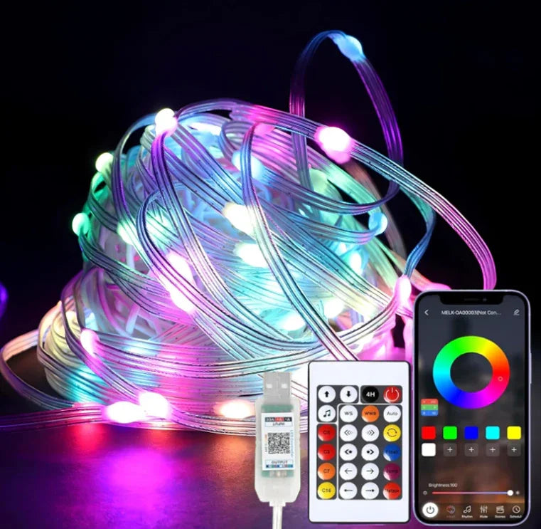 Dream Color App Control Led RGB Light 10M