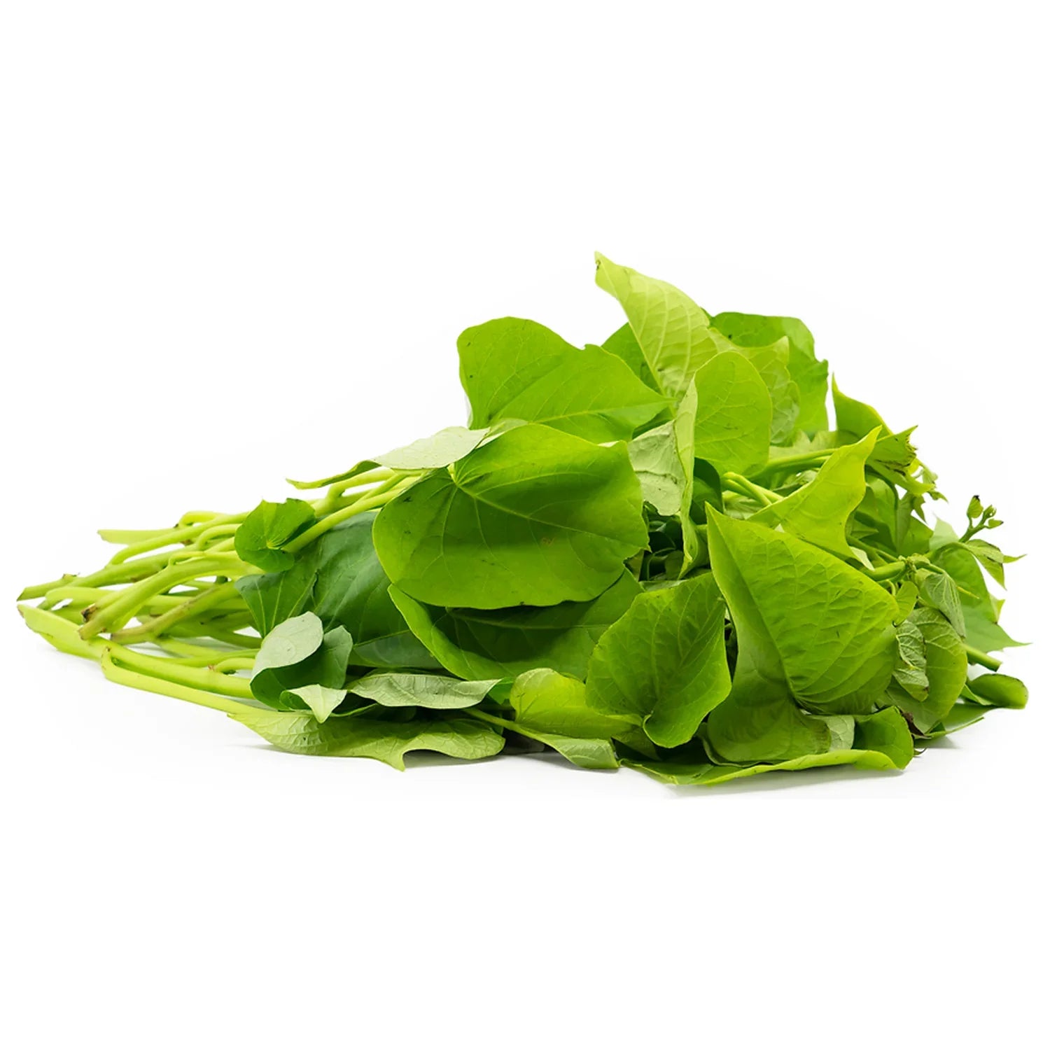 Sweet Potato Leaves (Talbos Ng Kamote) - Bunch