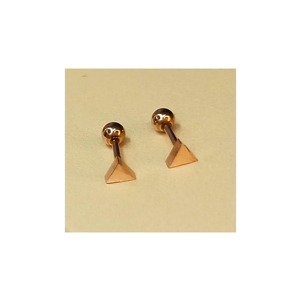 Golden Stainless Steel Stud Earings - 035