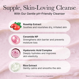 Arencia Rosehip Mild pH Balancing Rice Cake Cleanser - 150g